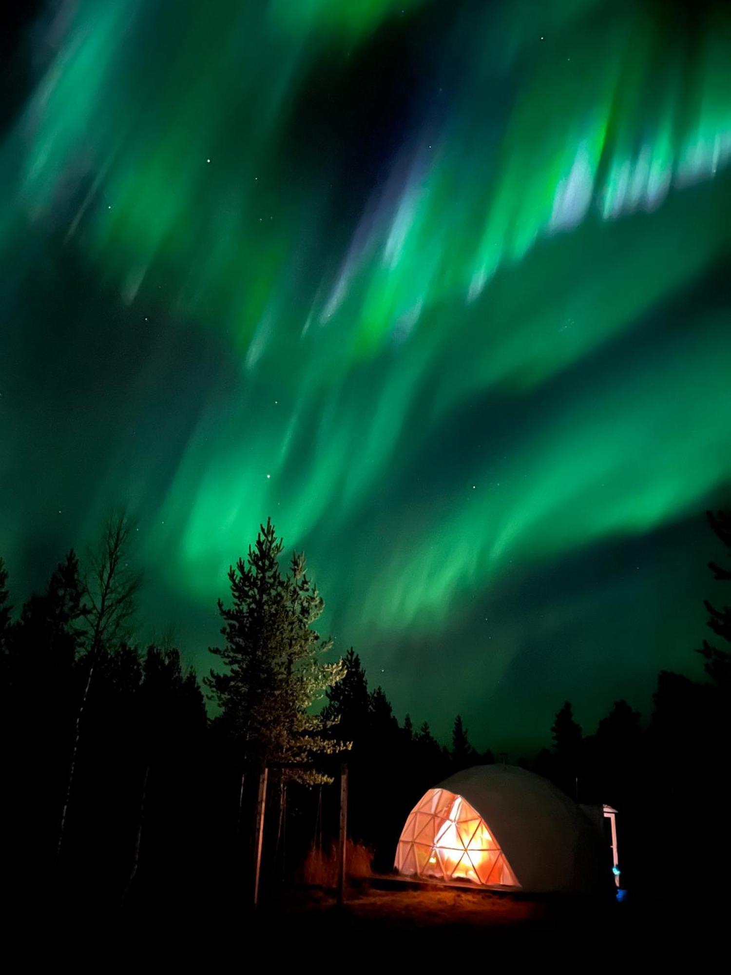 Aurora Igloo Fireplace-Heated Tents In A Secret Forest With Private Jacuzzi And Shared Sauna Bathroom And Dog Friendly Rovaniemi Exterior foto